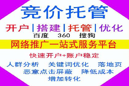 竞价排名成功案例分享